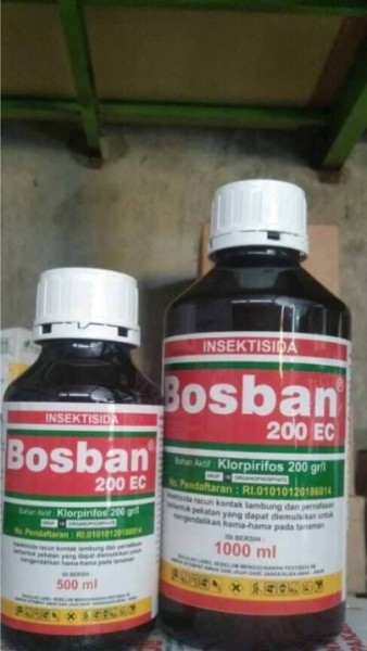 Bosban