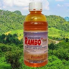 RAMBO 1L