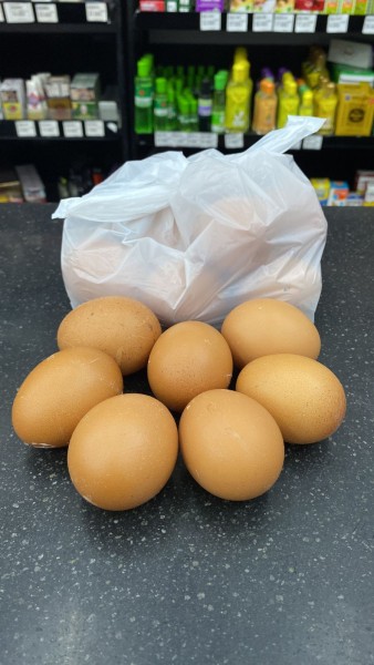 Telur