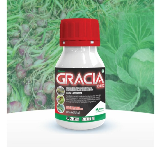 Gracia