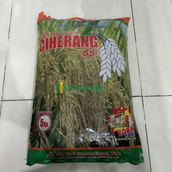 Beras Ciherang