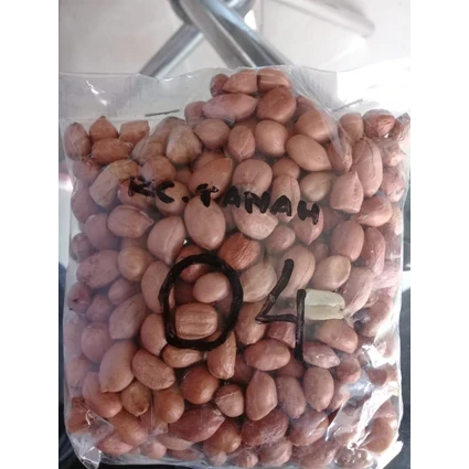 Kacang tanah
